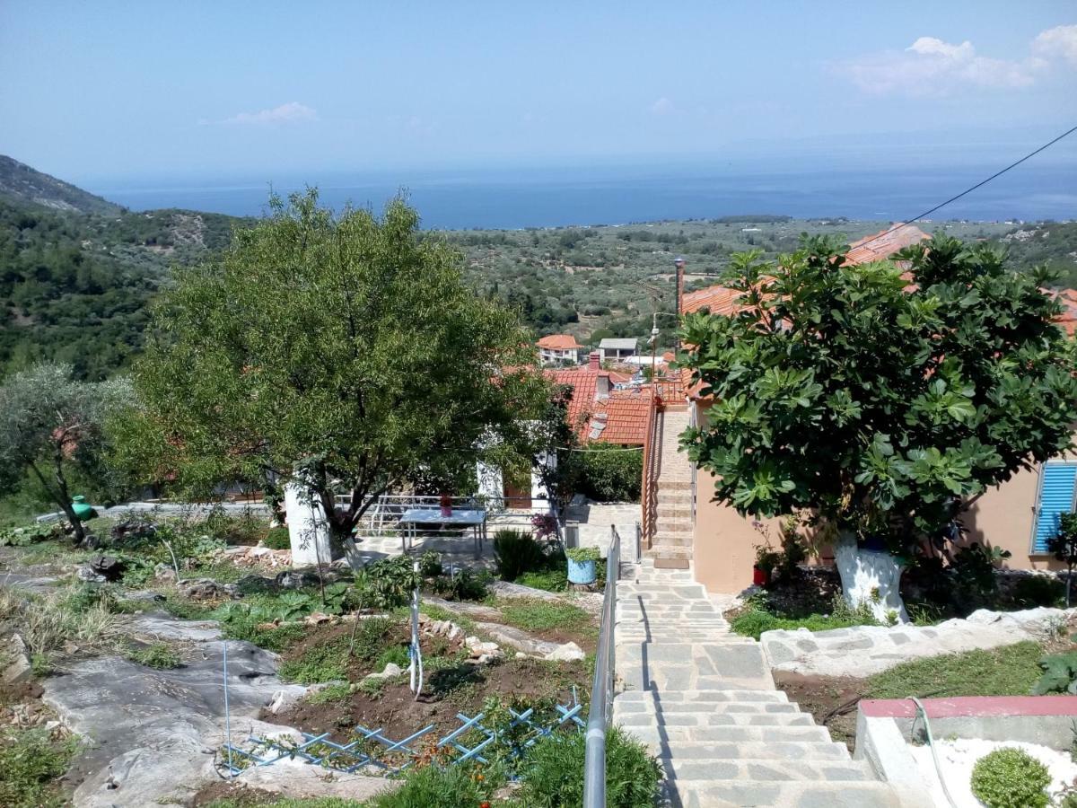 Kallirákhi Dimitra'S Garden Villa מראה חיצוני תמונה