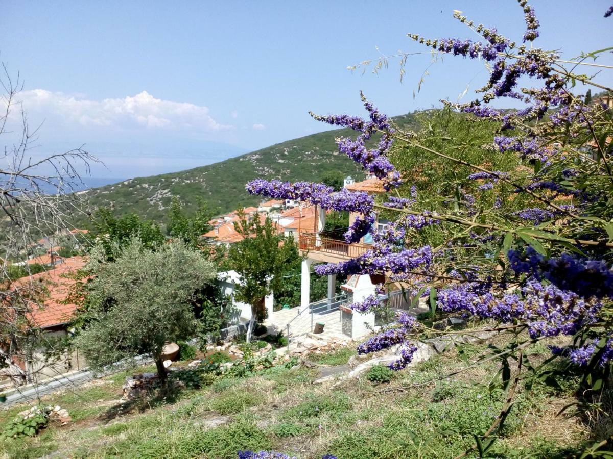 Kallirákhi Dimitra'S Garden Villa מראה חיצוני תמונה