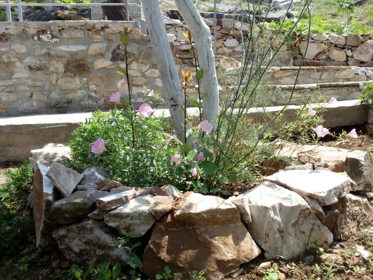 Kallirákhi Dimitra'S Garden Villa מראה חיצוני תמונה
